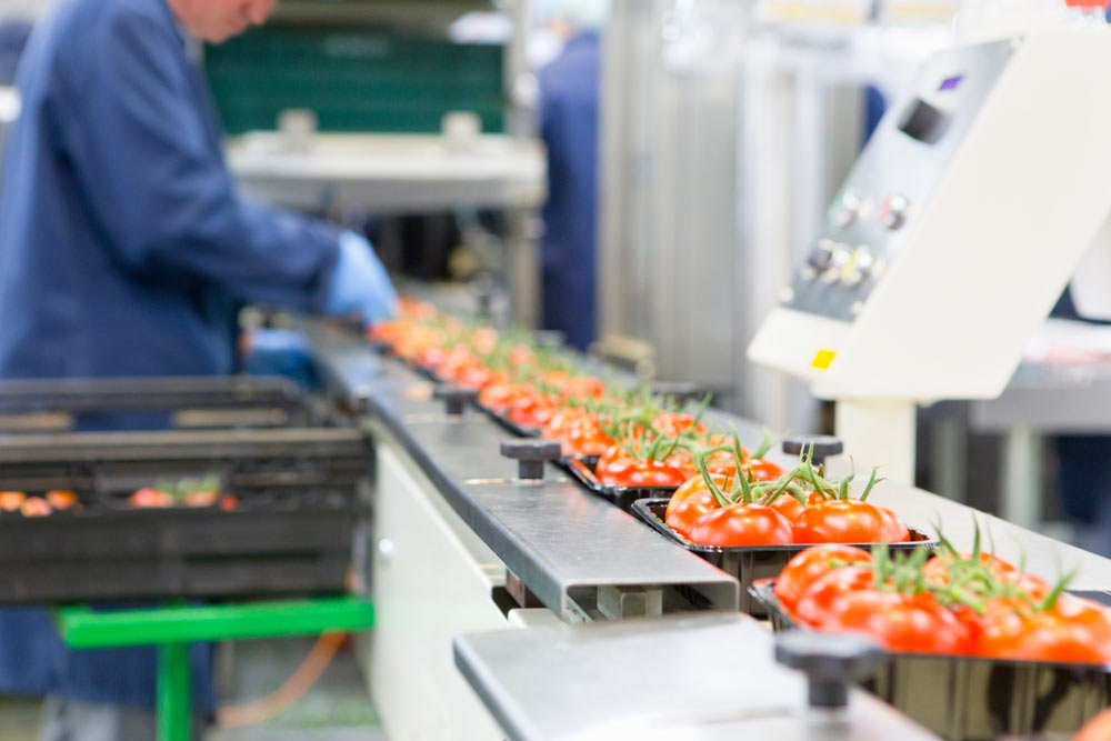 jervis-b-webb-conveyor-automatizado-industrial-alimentacion-bebidas