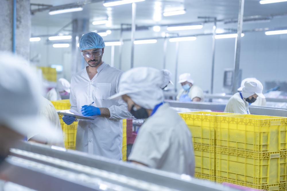 jervis-b-webb-transporte-conveyor-automatizado-industrial-alimentacion-bebidas